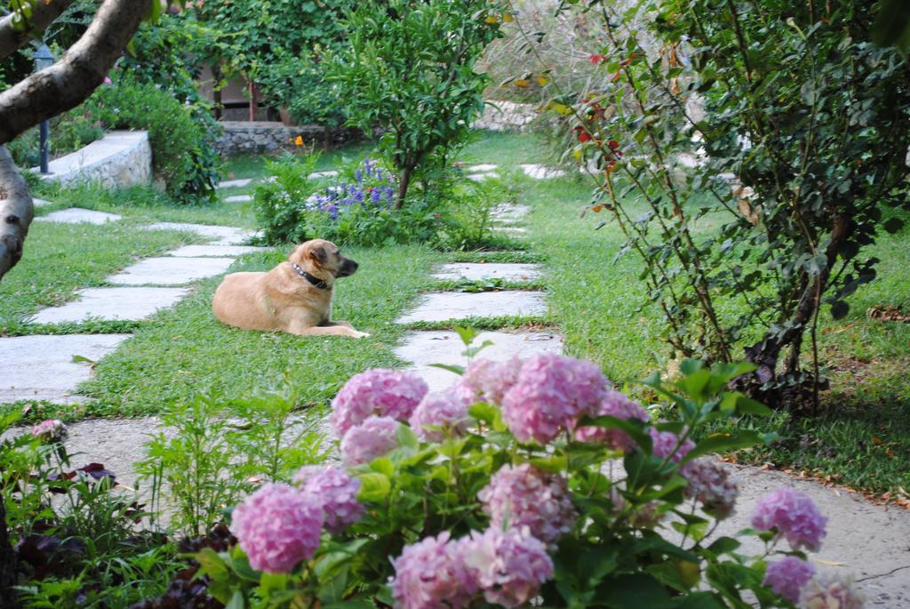 Kleo Cottages Kalkan Camera foto