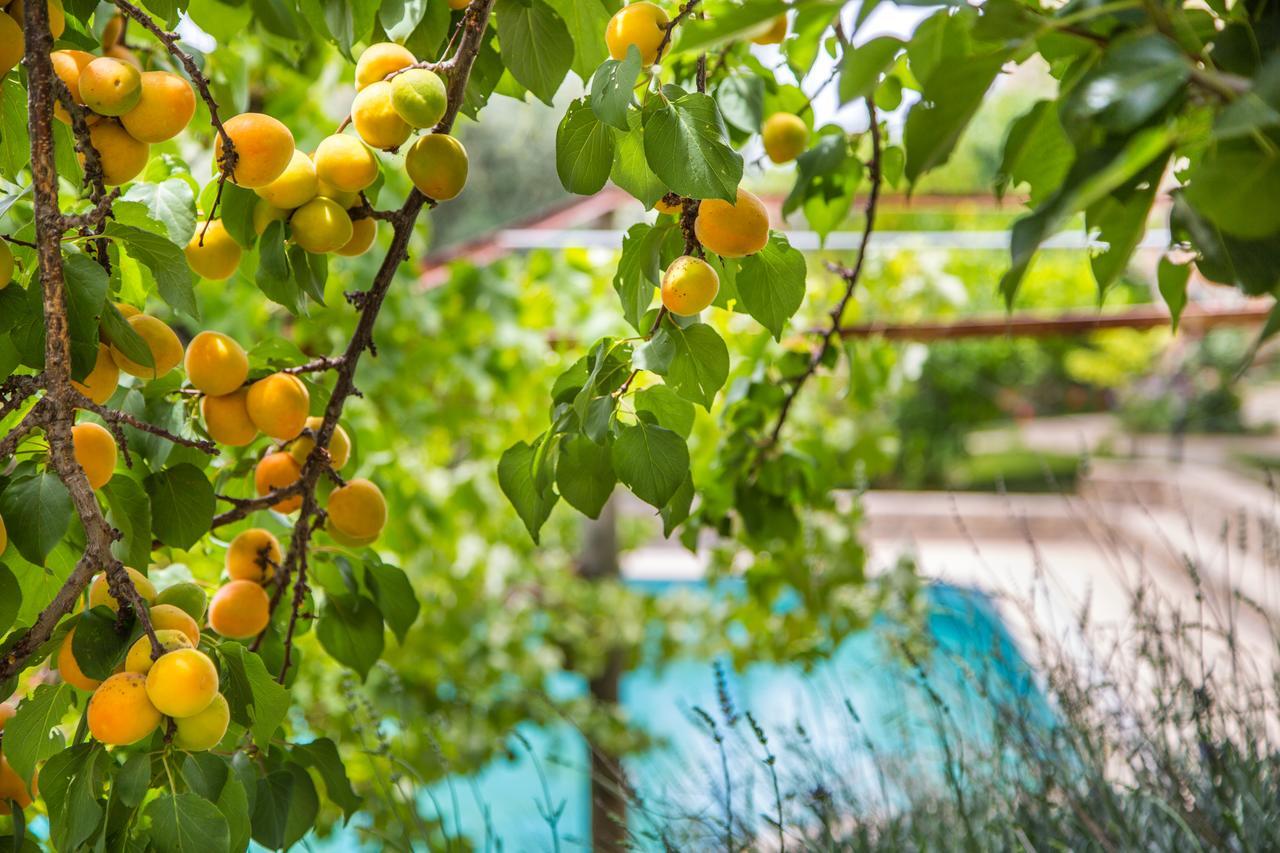 Kleo Cottages Kalkan Esterno foto